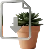 Your Indoor Plant Relocation Checklist